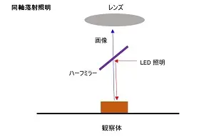 同軸落射照明イラスト